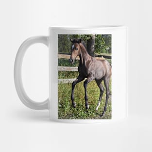 TB COLT Mug